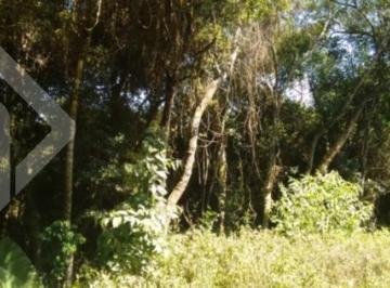 183416_iauxiliad183416_228492.jpg · Terreno no bairro Cantegril