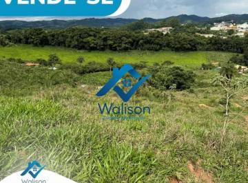 NIV_474_2024-03-18_09-34-08.jpg · Venda, Zona Rural, Itaguara, Minas Gerais, Brasil