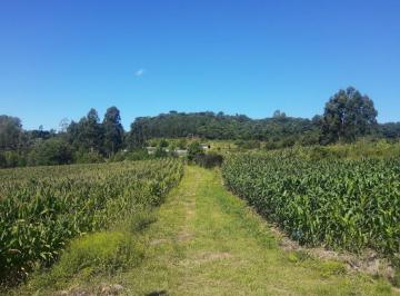 Foto 53 · Imóvel Para Investimento Agrícola