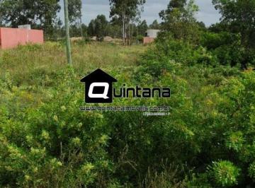 Terreno · 550m² · Vendo terreno no Capão do Leão zona industrial 550m²
