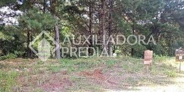 467558_i8S35Pfv3w668Xh9_46755865e87914095d7.jpg · Terreno no bairro Dutra