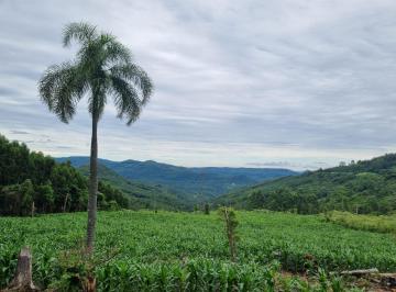Rural , Três Coroas · Sítio com 12 Hectares em Três Coroas/RS na Localidade de Canastra Alta