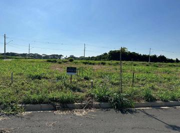 b024adfc096d14d93f061d167739770cb87e4829 · Terreno à venda, 256 m² por R$ 240.000,00 - Jardim Europa - Holambra/SP