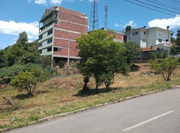 Foto 01 · Terreno, Bairro Aparecida, Flores da Cunha, RS