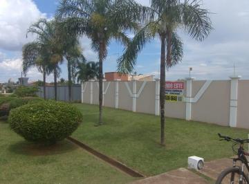 Terreno , Águas Claras · LOTE COMERCIAL/RESIDENCIAL NA SH ARNIQUEIRAS - AVENIDA VEREDA DA CRUZ