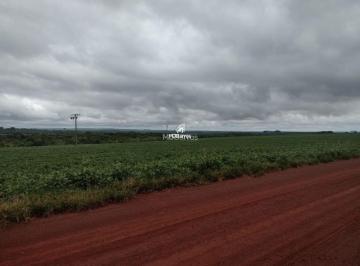 ftfcsv42nwuxzdcyyjflmtji_md.jpg · Excelente Fazenda à venda na região do Itahum em Dourados/MS