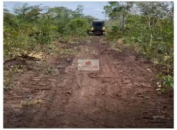9b541e0eec4da84baff5a898df13682e.jpg · Fazenda com 10 mil hectares, , dupla aptidão, terra bruta