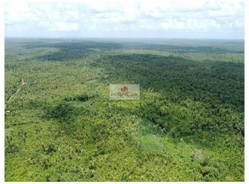 eb34db931464a5d0988235f9e56c62c1.jpg · Fazenda com 4.300 hectares, dupla aptidão, com casa sede, 5 casas de funcionários