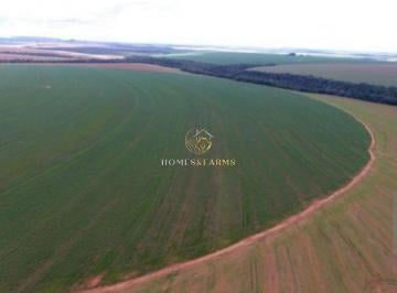 Foto 01 · Fazenda a Venda Município: entre paredão e primavera -  MT