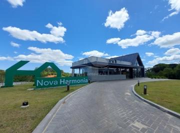 Foto 01 · Excelentes terrenos de 200 a 801m² - Av. Senador Salgado Filho, Viamão/RS