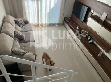Casa · 130m² · 3 Quartos · 2 Vagas · Sobrado com 3 dormitorios para venda Jardim França