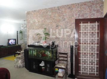 Casa · 350m² · 2 Quartos · 9 Vagas · CASA TERRÉA 2 DORMITÓRIOS Á VENDA- JARDIM SÃO PAULO