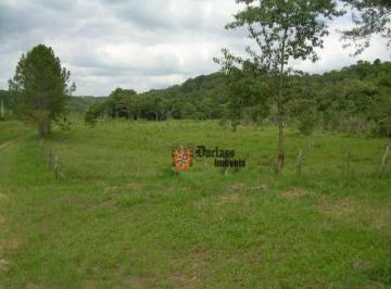 46827ed282f2f18ff33ebb2e2fcbe2535869fb29 · Área à venda, 194154 m² por R$ 11.650.000 - Parque Santa Rosa - Suzano/SP