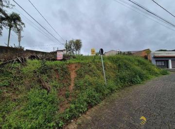 b639ee89f8d8b8196ade45afd67884f10eb909c0 · Terreno à venda, 335 m² por R$ 320.000,00 - Salto do Norte - Blumenau/SC