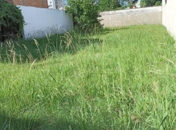 Foto 01 · Terreno, Centro, Esteio, RS