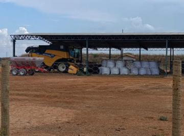 Rural , João Pinheiro · Fazenda a venda em João Pinheiro - 1.415 HA - Relevo plano - Agricultura 