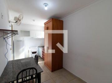 Apartamento · 30m² · 1 Quarto · Apartamento para Aluguel - Barão Geraldo - Centro, 1 Quarto, 30 m² - Campinas