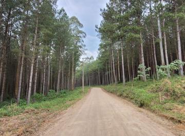 Terreno · 500000m² · Terreno à venda no bairro Ipiranga - Rodeio/SC, Rural