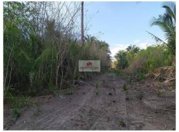 aaa05c8453f6c811de635647595accf2.jpg ·  Fazenda com 1100 hectares, dupla aptidão, na margem do Rio Parnaíba, própria para o cultivo de soja