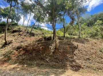 20240325105812233.jpg · Terreno para Venda em Nova Friburgo, Nova Suiça