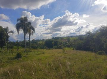 Foto 13 · Chácaras em Quatro Colônias, Campo Bom