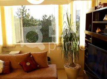 Apartamento · 80m² · 3 Quartos · 1 Vaga · Apartamento com 3 dormitórios sendo 1 suíte á venda no Barro Branco