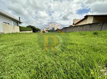 Foto 02 · Terreno 1000 m2 com otima topografia, rua tranquila, em Condominio Palmeiras Imperiais, Salto SP