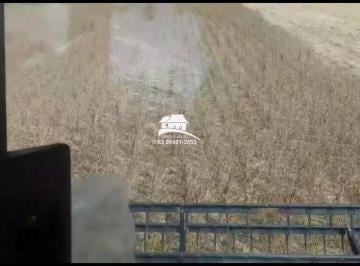 20230504125031278821.png · Fazenda para Venda em Pedro Afonso, ampla expansão agropecuária