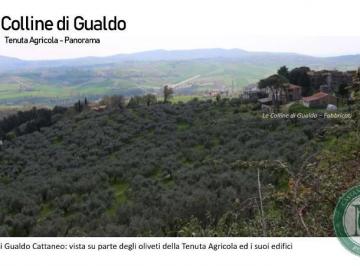 Foto 01 · Propriedade produtora de Vinho, Azeite e Trufas, com 74 Hectares em Galdo Cataneo.