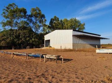 Rural · 3150m² · 4 Quartos · FAZENDA INCRÍVEL EM PARANATINGA/MT - ÓTIMA OPORTUNIDADE DE NEGÓCIO!