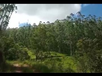 Rural de 4 quartos, Natividade da Serra · VENDO TROCO FAZENDA DE 100 HECTARES EM NATIVIDADE DA SERRA ( 4289 )