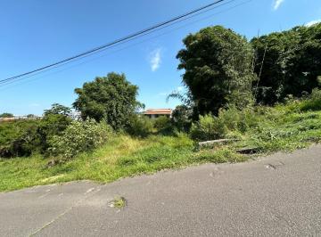 6577_i9Eq65sZ6s8fR7h_65776605d59794b98.jpg · Imoveis - no Jardim Mar das Pedras