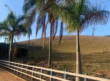 Rural · 900m² · 4 Quartos · 30 Vagas · Fazenda á venda em Piranguinho - MG com 32 hectares