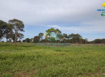 Rural · 100ha · 1 Quarto · Chácara linda 02 ha saída para São Paulo - Campo Grande, MS, Brasil