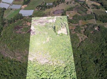 Rural · 100000m² · Rurais à venda - no Centro