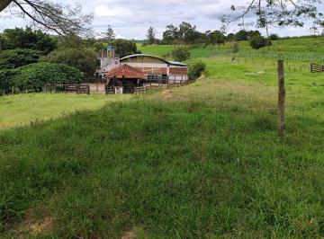 Foto 01 · Fazenda 128,26 Hectares ou 53 Alqueires   Formada em Pasto   Conta com uma Estrutura de Primeira Qua