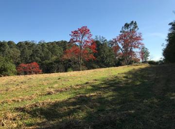 Terreno · 20000m² · Terreno à venda em Campinas, Jardim Martinelli (Sousas), Condominio Reserva da Floresta