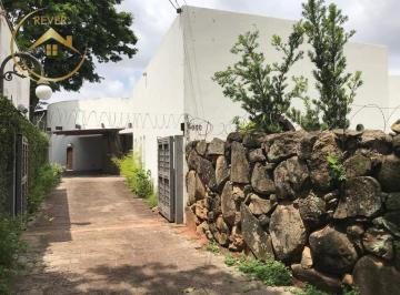 Comercial · 559m² · 5 Quartos · 6 Vagas · Casa para alugar em Campinas, Jardim das Paineiras, com 5 quartos, com 559.3 m²