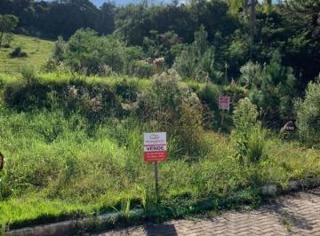 Foto 01 · Terreno, Angico, São Sebastião do Caí, RS