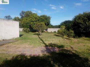 Foto 01 · Terreno, Centro, Tapes, RS