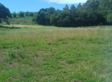 Rural de 3 quartos, Viamão · Sítio Rural em Aguas Claras
