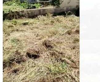 Terreno · 532m² · Lote com 532,74 m²- Vila Santista-Atibaia -R$ 550 mil-Cod:4750