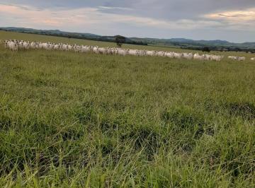 Rural de 4 quartos, Itapaci · Fazenda de 430 alqueires goianos ou 2.080 hectares em Itapaci – GO 98150-8787