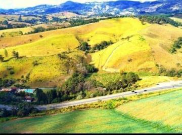 20240404150225633.jpg · Sítio para Venda em Socorro, ZONA RURAL
