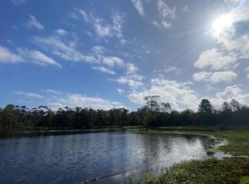 Rural , Porto Alegre · Sítio / açude / galpão / casa caseiro / cural