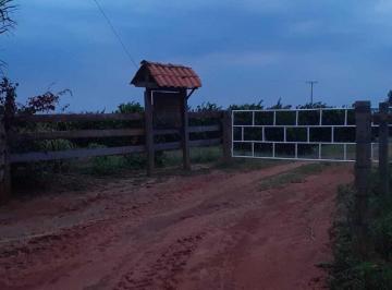 Foto 23 · Sitio, Rural, Alto Paraná, PR