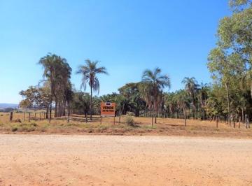 1582c25c0a68c75df1d274d5ae14aa3ba92053bd · Chácara à venda, 72600 m² por R$ 1.500.000,00 - Novo Horizonte - Caturaí/GO