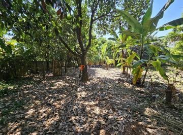 Rural · 126ha · 2 Quartos · Chácara à venda em Paulínia, São Paulo