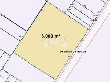 Terreno · 3000m² · Terreno Plano Comercial/Industrial, 3.000m² - Vila Homero Thon, Santo André/SP.