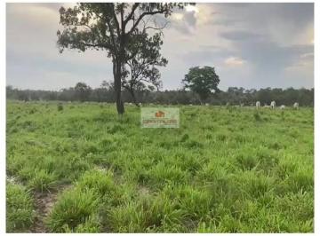 134632068defb9bd75d1e70c06020e6e.jpg · Fazenda na região de Caxias - MA, com 4.600 hectares, dupla aptidão